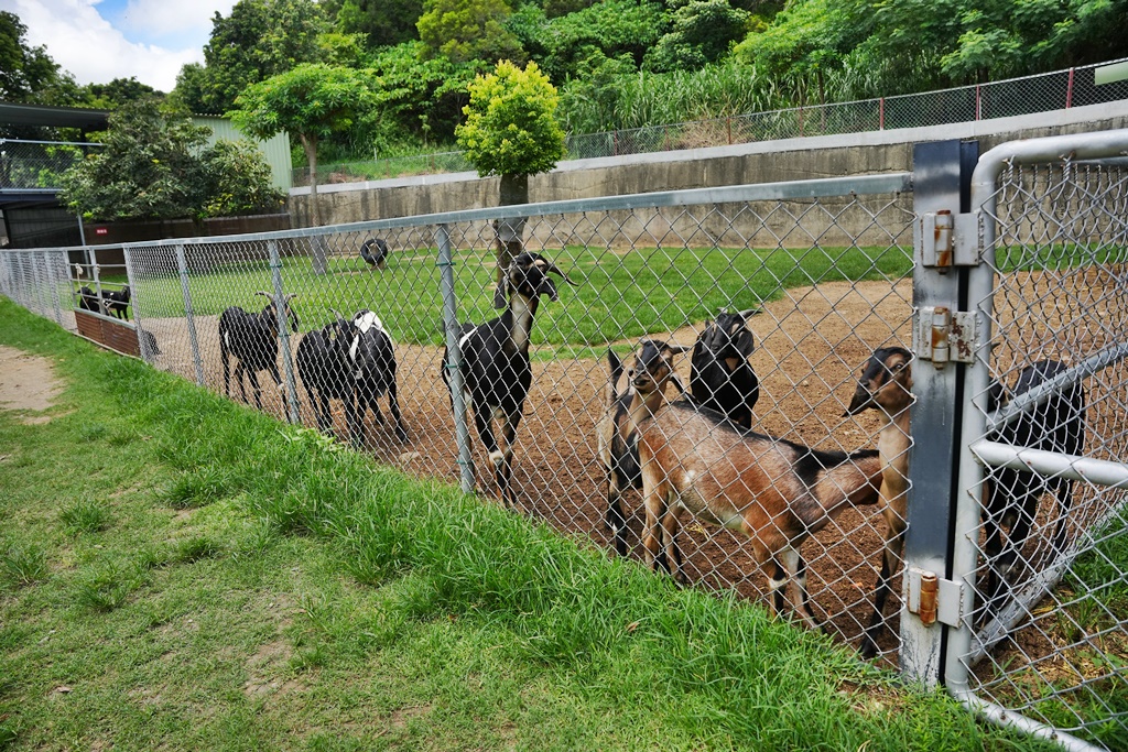 烤肉,牛奶冰淇淋,牛奶火鍋,牛奶饅頭,純鮮奶,輕旅行,鮮奶酪,鮮奶雪糕