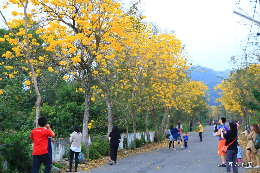 一日遊,二水鄉,彰化縣,旅遊,泡湯,火車,爬山,社頭,親子遊,豐伯廣場,附近景點,黃金隧道