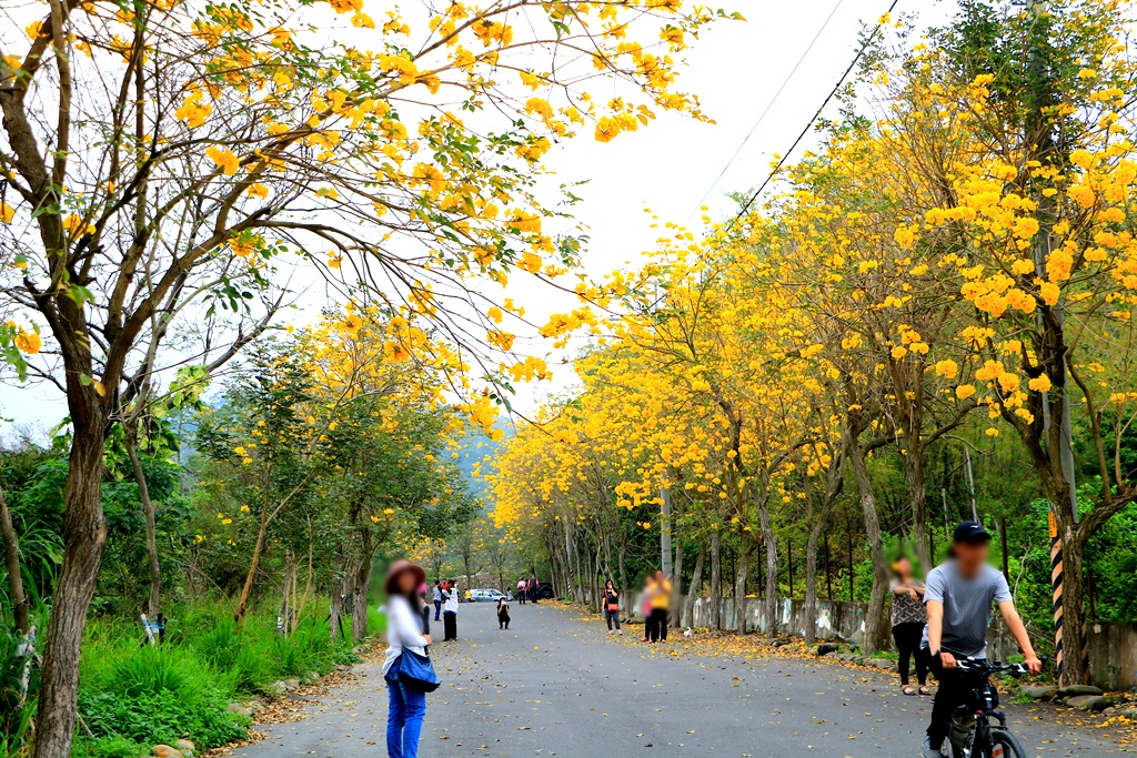 一日遊,二水鄉,彰化縣,旅遊,泡湯,火車,爬山,社頭,親子遊,豐伯廣場,附近景點,黃金隧道