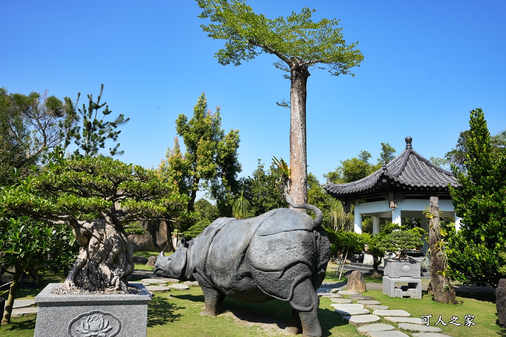 一日遊,全家旅遊,台南景點,推薦,楊桃產地,楠西鄉,永興吊橋,玄空法寺,薑黃產地