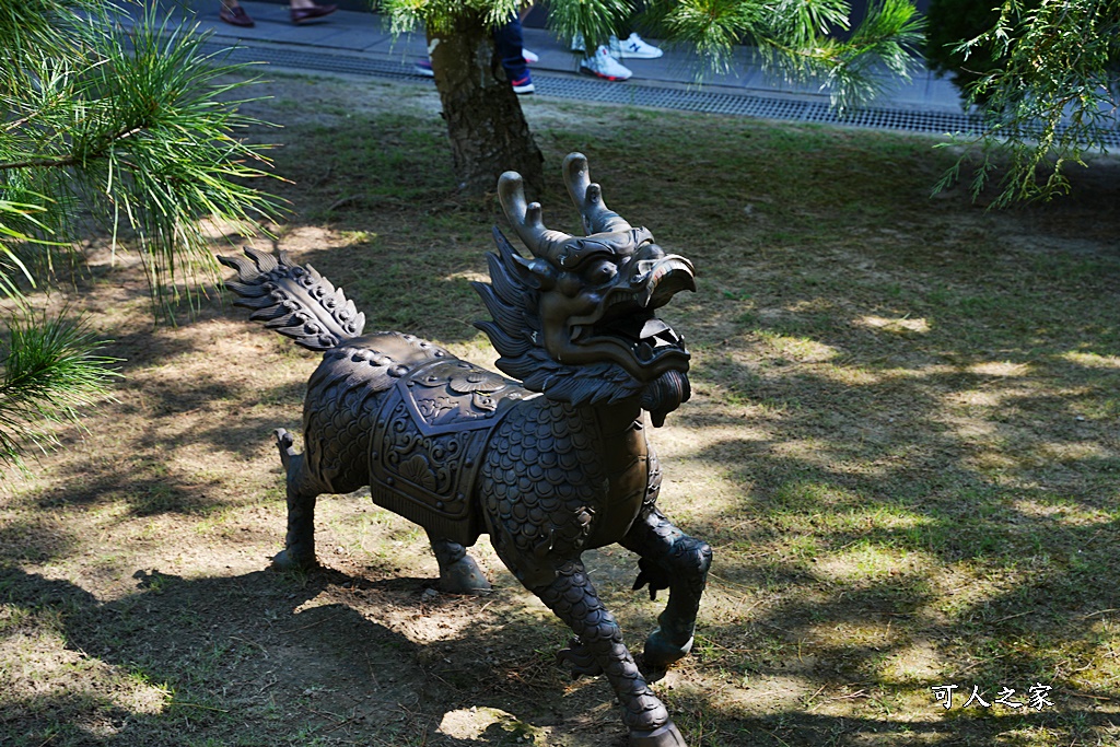 一日遊,全家旅遊,台南景點,推薦,楊桃產地,楠西鄉,永興吊橋,玄空法寺,薑黃產地