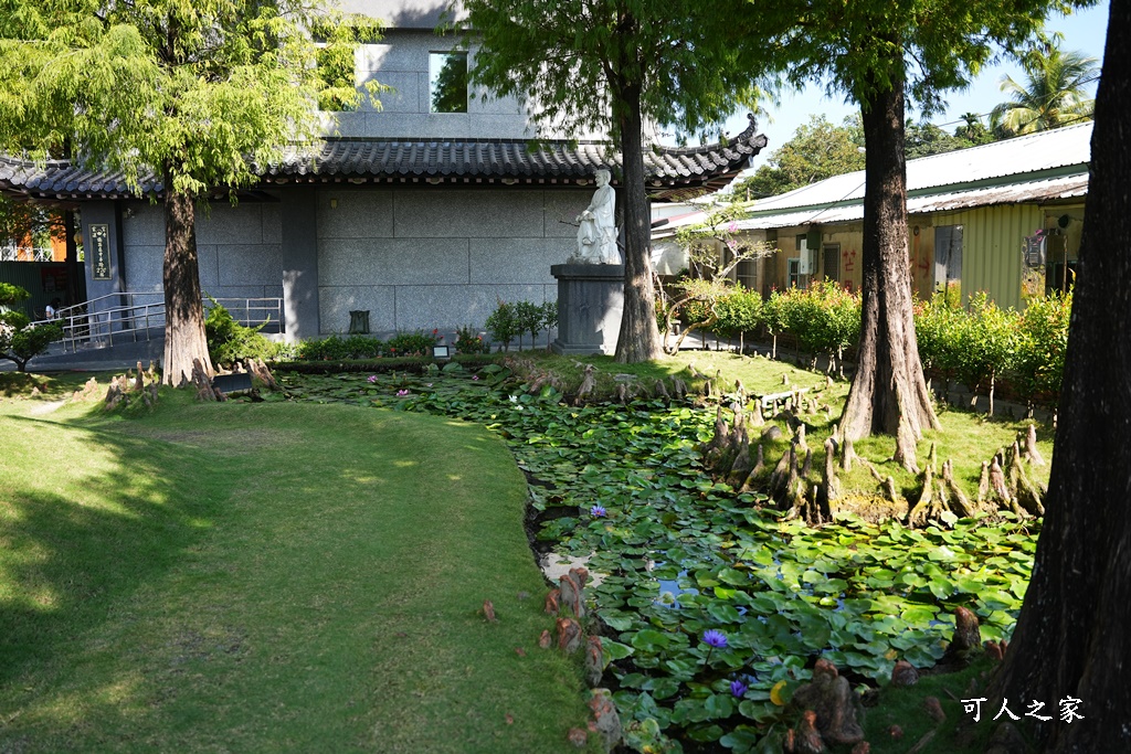 一日遊,全家旅遊,台南景點,推薦,楊桃產地,楠西鄉,永興吊橋,玄空法寺,薑黃產地