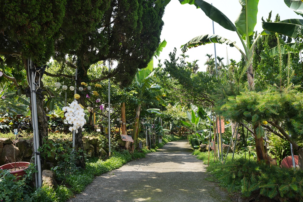 jijibanana集元果,一日遊,南投新景點,生態園區,蕃茄果乾,觀光工廠,香蕉乾