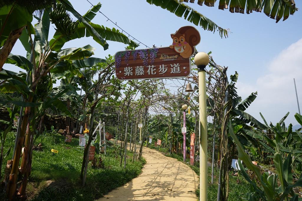 jijibanana集元果,一日遊,南投新景點,生態園區,蕃茄果乾,觀光工廠,香蕉乾