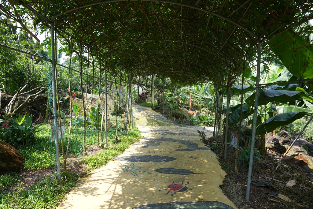 jijibanana集元果,一日遊,南投新景點,生態園區,蕃茄果乾,觀光工廠,香蕉乾