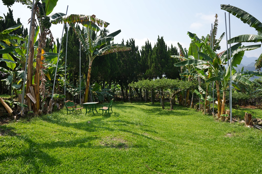 jijibanana集元果,一日遊,南投新景點,生態園區,蕃茄果乾,觀光工廠,香蕉乾