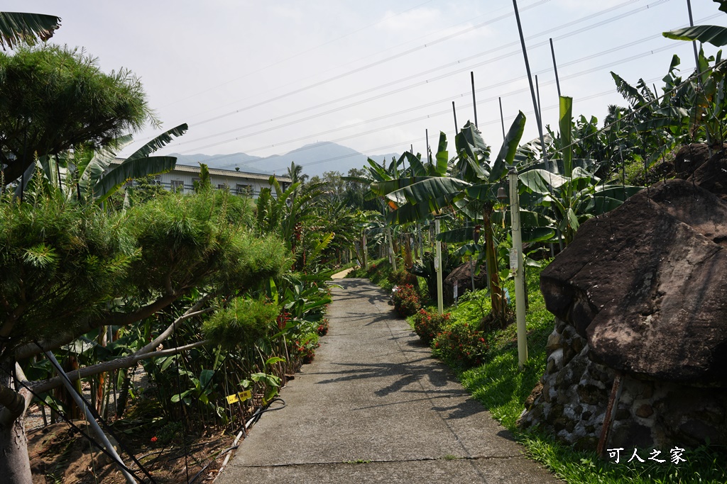 jijibanana集元果,一日遊,南投新景點,生態園區,蕃茄果乾,觀光工廠,香蕉乾