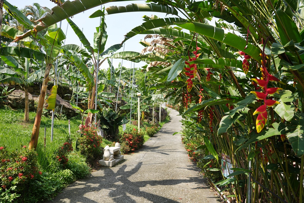 jijibanana集元果,一日遊,南投新景點,生態園區,蕃茄果乾,觀光工廠,香蕉乾