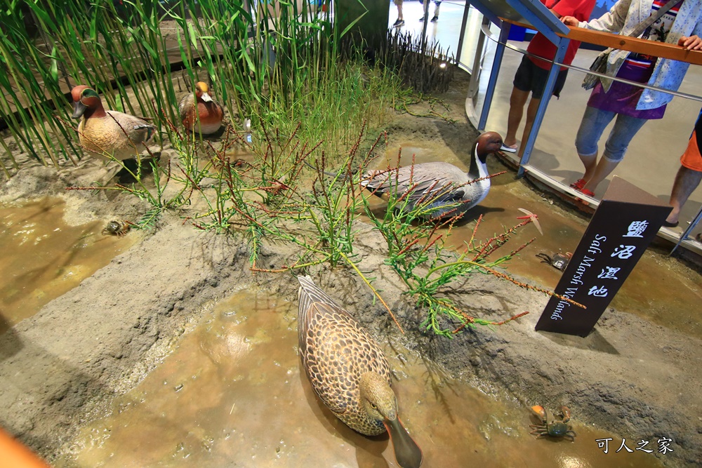 IG打卡聖地,台江學園/台江國家公園遊客中心