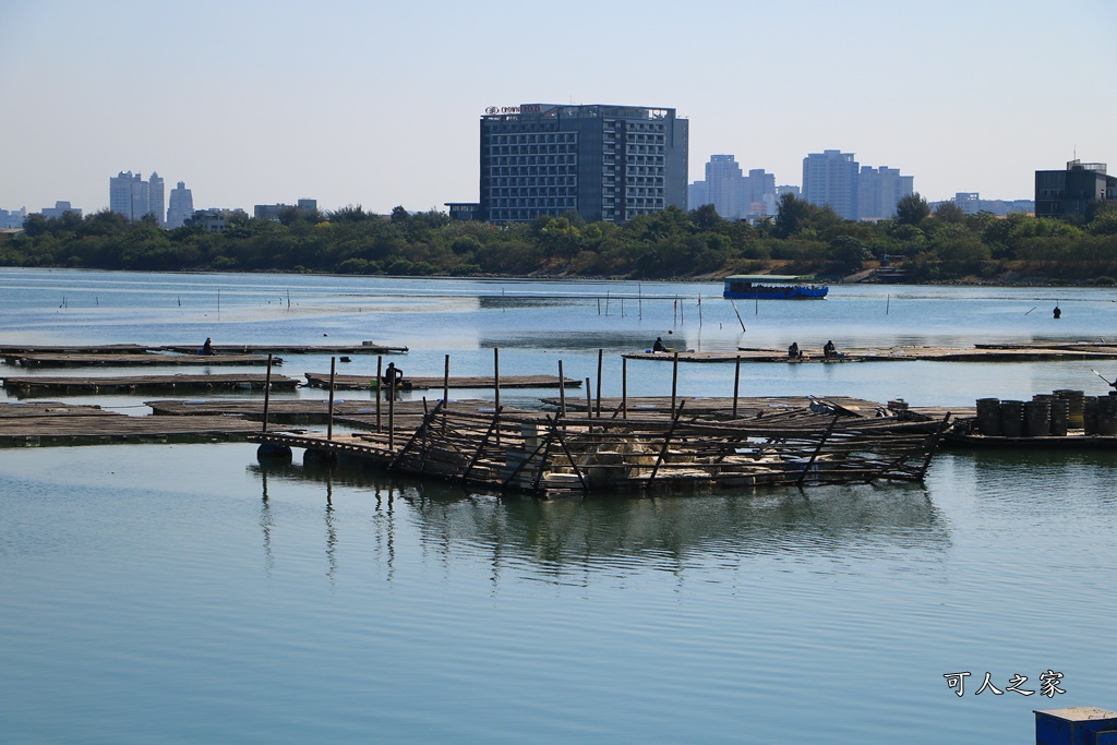 IG打卡聖地,台江學園/台江國家公園遊客中心