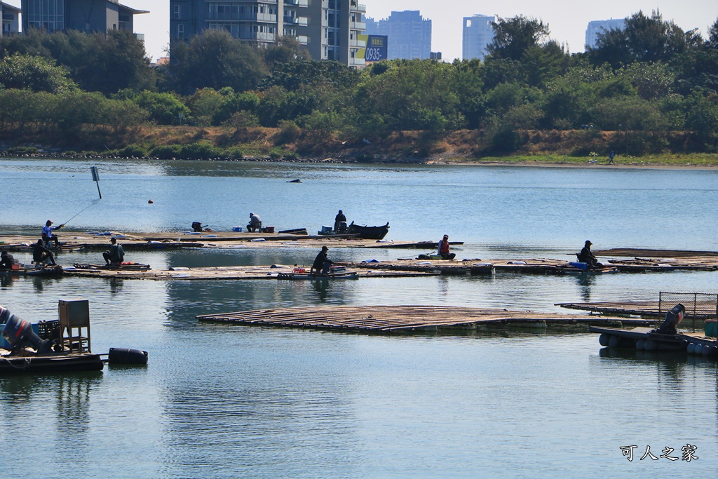 IG打卡聖地,台江學園/台江國家公園遊客中心