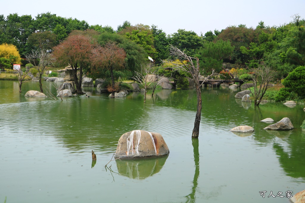 台灣檜木,味道森林館,景觀生態池,澄霖味道森林館,澄霖生技,盤香系列,精油獵燭體驗區,製香體驗區,雲林新景點,香氛系列