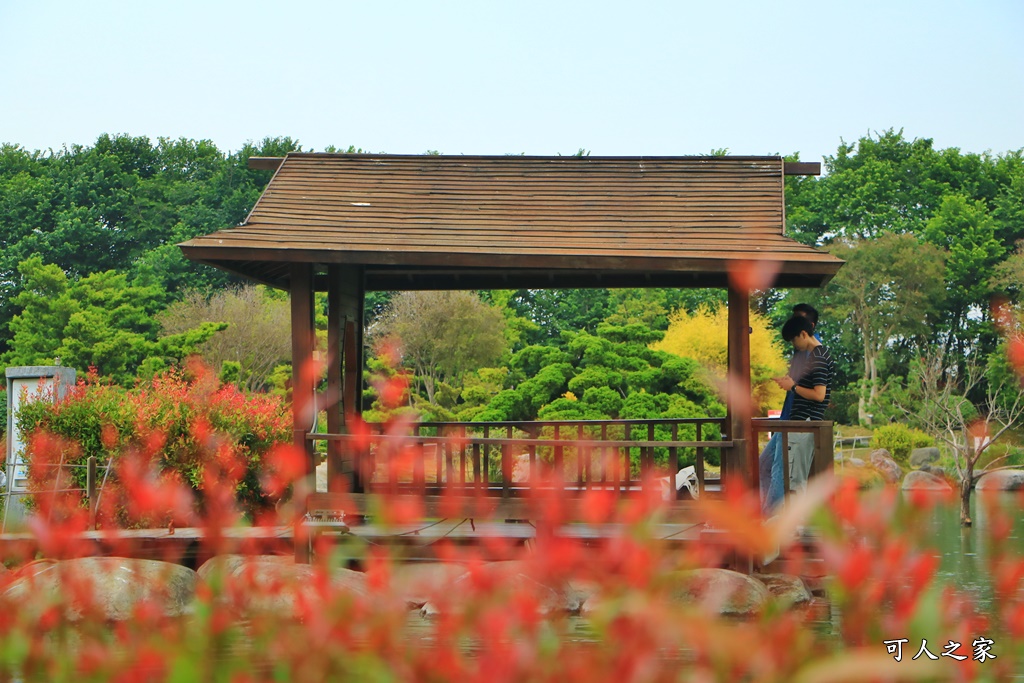 台灣檜木,味道森林館,景觀生態池,澄霖味道森林館,澄霖生技,盤香系列,精油獵燭體驗區,製香體驗區,雲林新景點,香氛系列