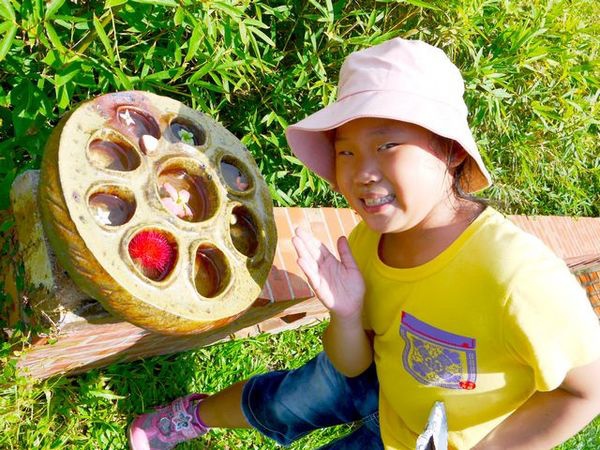 華陶窯：華陶窯~~不食人間煙火的陶花園