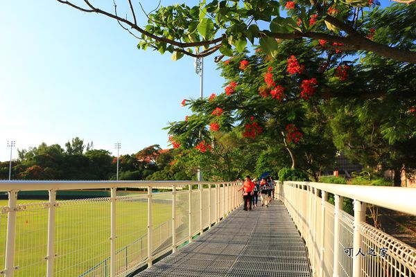 全新景點,天空步道,彰化新亮點 @可人之家