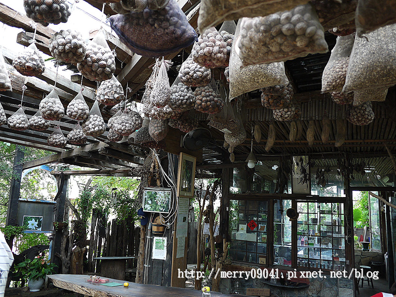 博物館,台南,導覽,新景點,種子 @可人之家