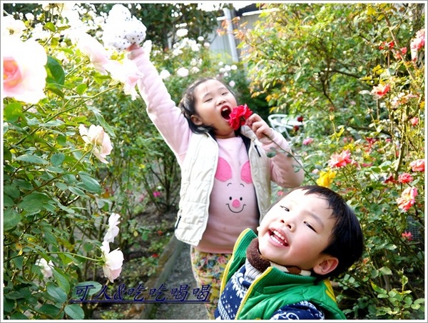 全得玫瑰莊園：&lt;田尾餐廳&gt;全得玫瑰莊園