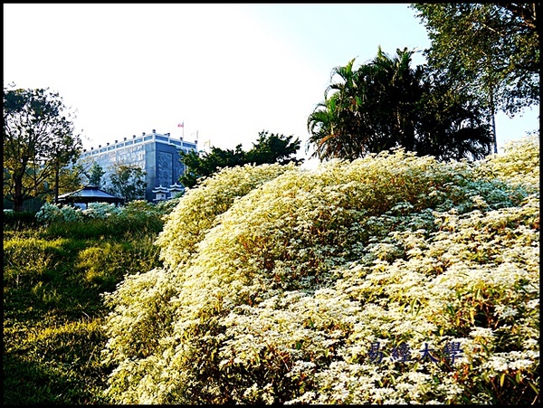 易經大學：&lt;南投景點&gt;寒流來襲讓南投山區偷偷下雪啦~「易經大學」