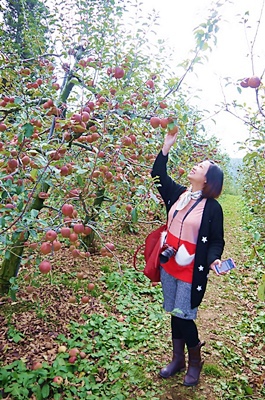 福壽山農場：楓情萬種~福壽山農場