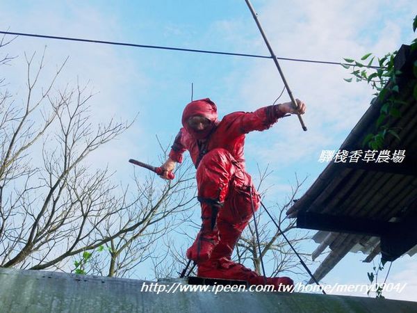 驛棧香草農場：驛棧香草農場