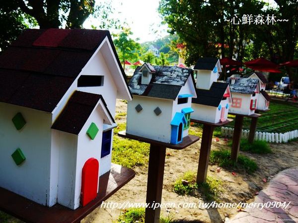 心鮮森林莊園：拍照的新景點~~心鮮森林莊園