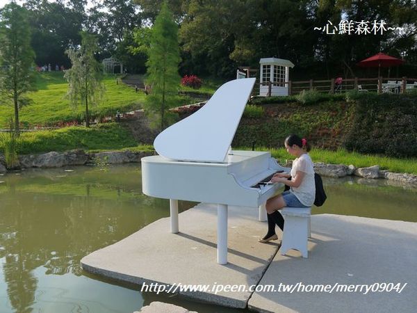 心鮮森林莊園：拍照的新景點~~心鮮森林莊園