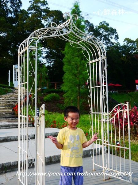 心鮮森林莊園：拍照的新景點~~心鮮森林莊園