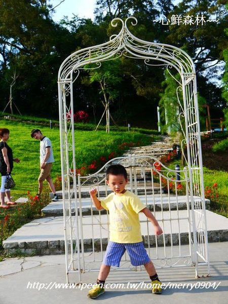 心鮮森林莊園：拍照的新景點~~心鮮森林莊園