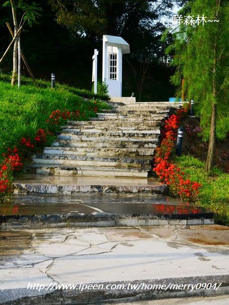 心鮮森林莊園：拍照的新景點~~心鮮森林莊園