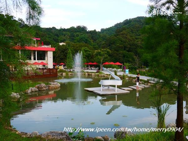 心鮮森林莊園：拍照的新景點~~心鮮森林莊園