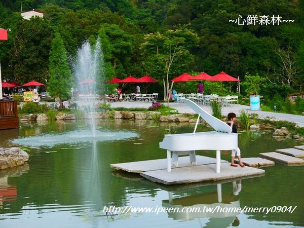 心鮮森林莊園：拍照的新景點~~心鮮森林莊園