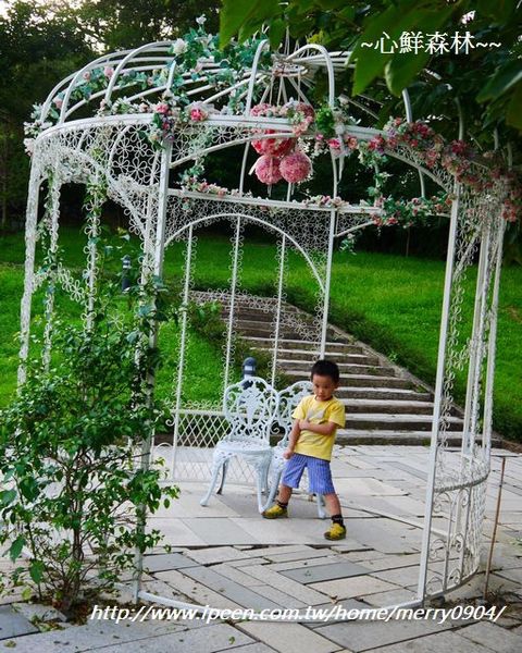 心鮮森林莊園：拍照的新景點~~心鮮森林莊園