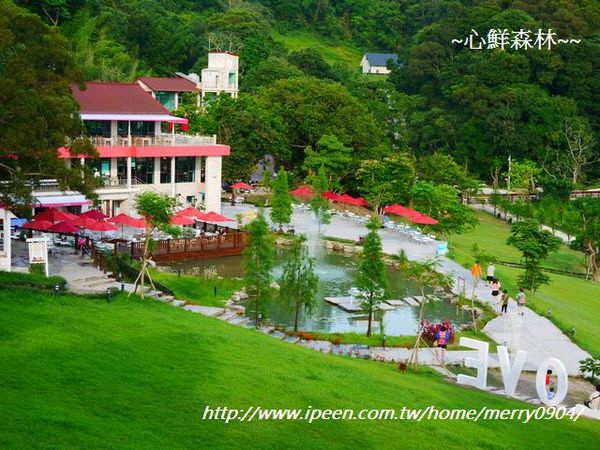 心鮮森林莊園：拍照的新景點~~心鮮森林莊園