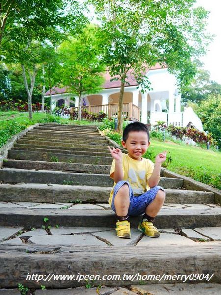 心鮮森林莊園：拍照的新景點~~心鮮森林莊園