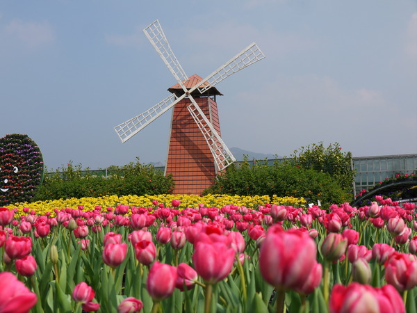 中社觀光花市：中社花園之旅