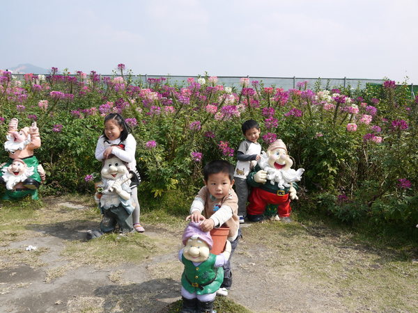 中社觀光花市：中社花園之旅