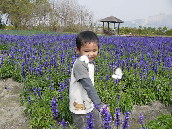 中社觀光花市：中社花園之旅