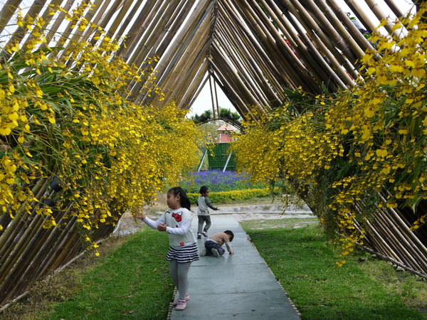 中社觀光花市：中社花園之旅