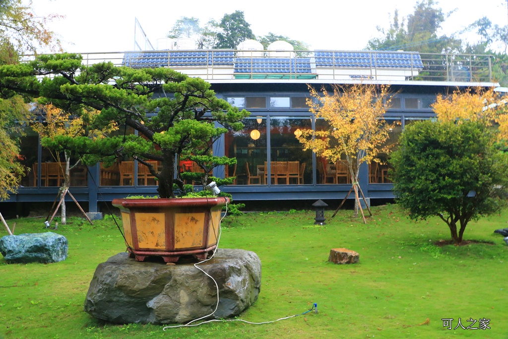 大樂之野景觀餐廳、新竹新景點、親子遊、大草皮、合菜用餐、免門票、新竹餐廳推薦、關西景點、關西周邊景點