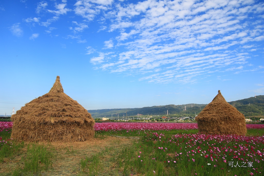 2017稻草人藝術節、田中景點、彰化田中,熊愛稻田中、接駁時間地點、稻草人、田中火車站、望高瞭、田中周邊景點、田中美食