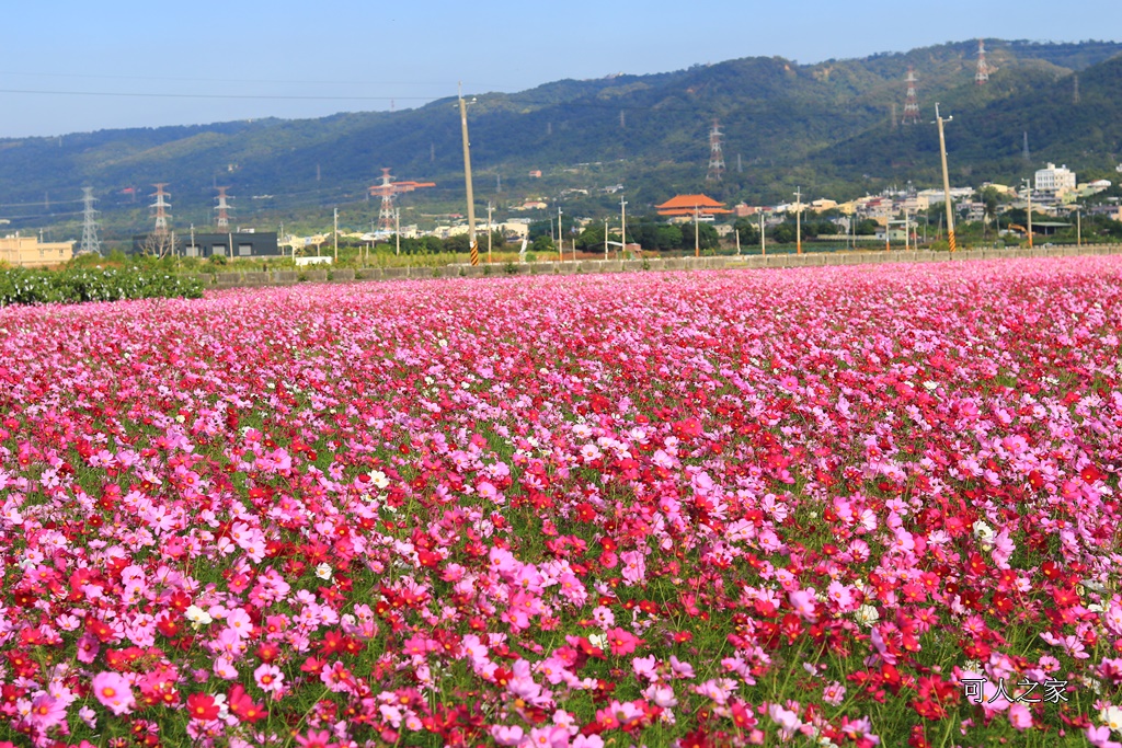 2017稻草人藝術節、田中景點、彰化田中,熊愛稻田中、接駁時間地點、稻草人、田中火車站、望高瞭、田中周邊景點、田中美食