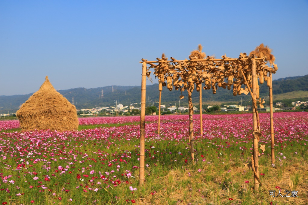 2017稻草人藝術節、田中景點、彰化田中,熊愛稻田中、接駁時間地點、稻草人、田中火車站、望高瞭、田中周邊景點、田中美食