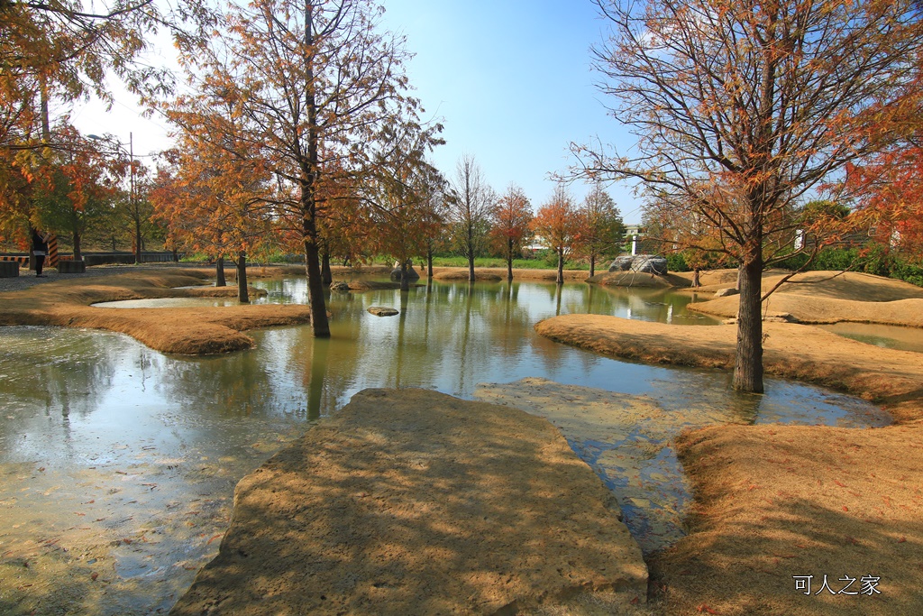 水漾森林,私房秘境,肉與鬆,虎尾一日遊,虎尾旅行,虎尾景點,虎尾私房景點,虎尾落羽松,青埔路落羽松