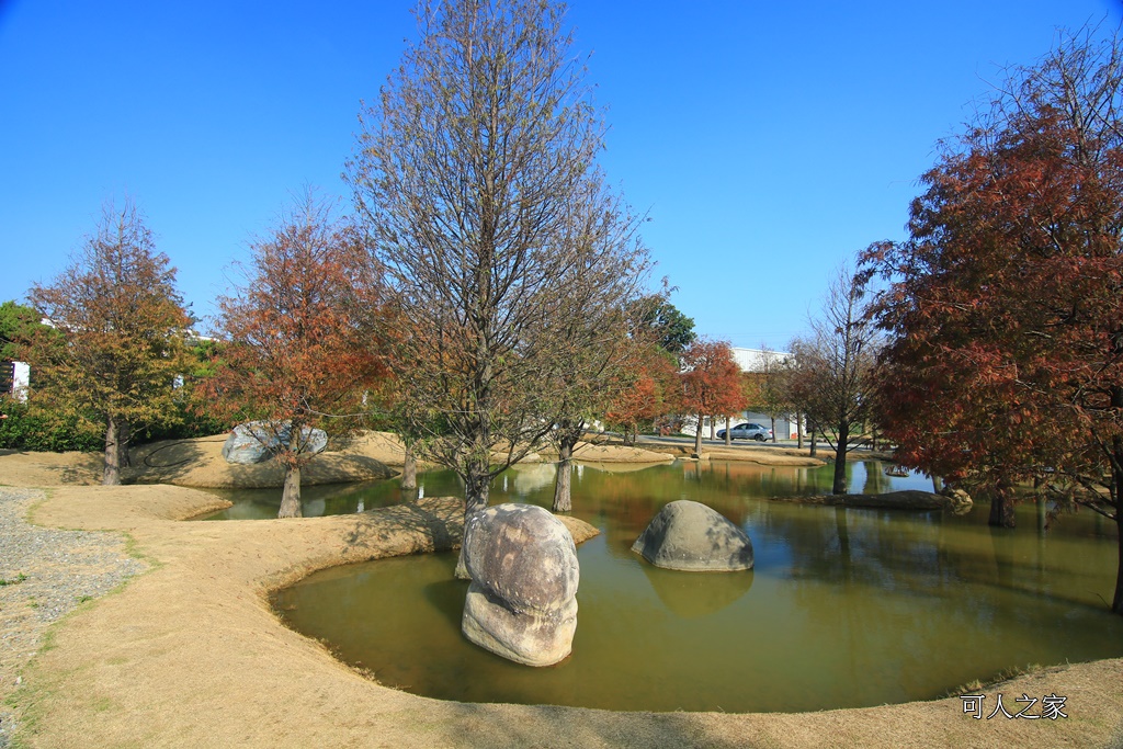 水漾森林,私房秘境,肉與鬆,虎尾一日遊,虎尾旅行,虎尾景點,虎尾私房景點,虎尾落羽松,青埔路落羽松