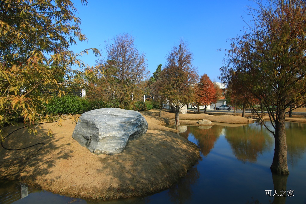 水漾森林,私房秘境,肉與鬆,虎尾一日遊,虎尾旅行,虎尾景點,虎尾私房景點,虎尾落羽松,青埔路落羽松