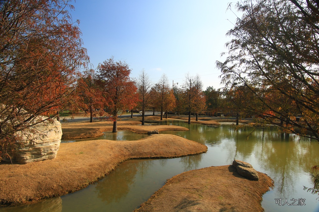 水漾森林,私房秘境,肉與鬆,虎尾一日遊,虎尾旅行,虎尾景點,虎尾私房景點,虎尾落羽松,青埔路落羽松