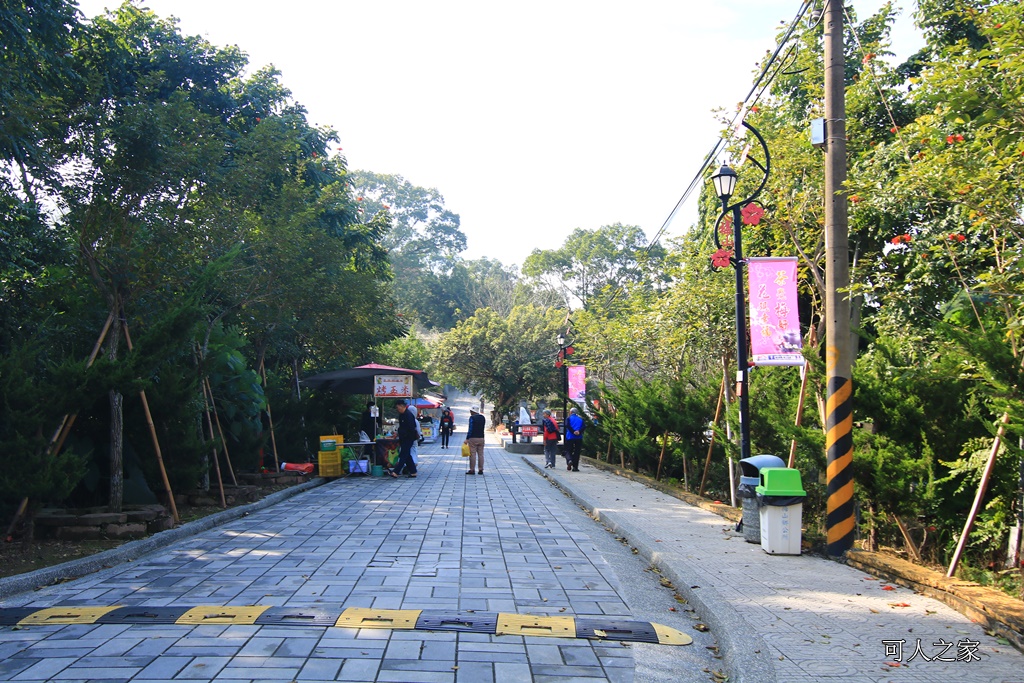 全家出遊踏青,嘉義景點,季節性花景,梅山公園,梅山梅花,賞梅景點