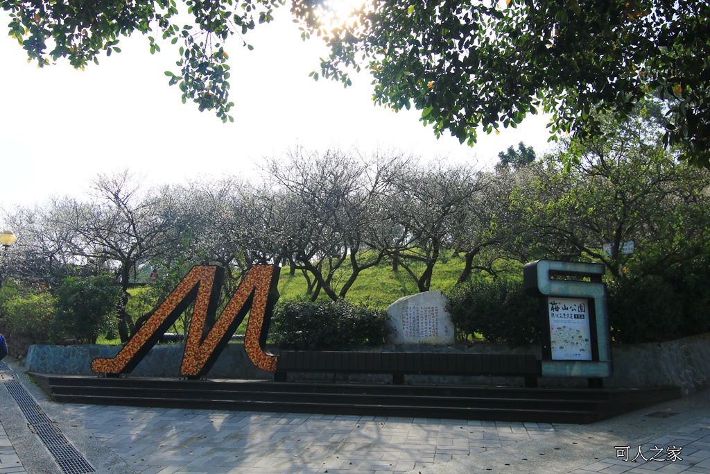 全家出遊踏青,嘉義景點,季節性花景,梅山公園,梅山梅花,賞梅景點