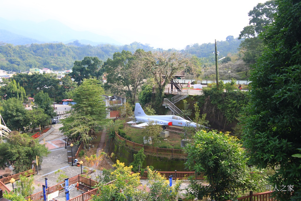 全家出遊踏青,嘉義景點,季節性花景,梅山公園,梅山梅花,賞梅景點