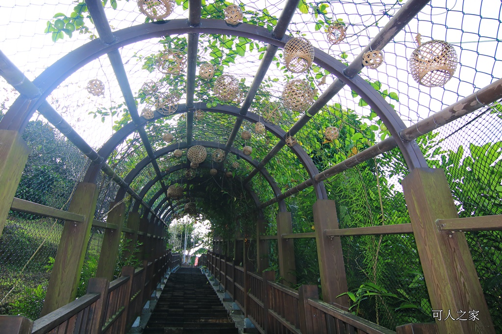 全家出遊踏青,嘉義景點,季節性花景,梅山公園,梅山梅花,賞梅景點